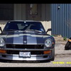 71_240z_Race_134
